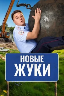 Жуки
