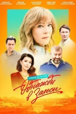 Однажды в Залесье